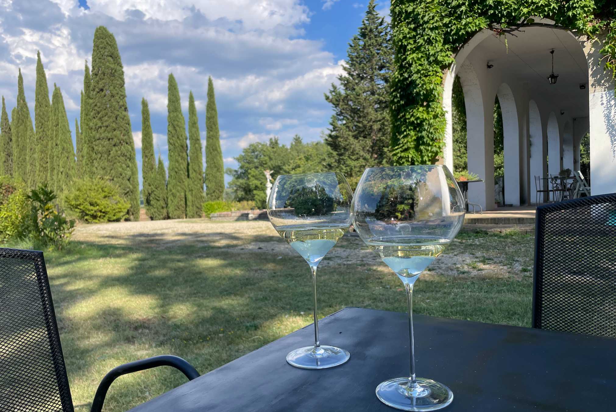 Collezione Stellare - Mouth Blown Tasting Wine Glasses