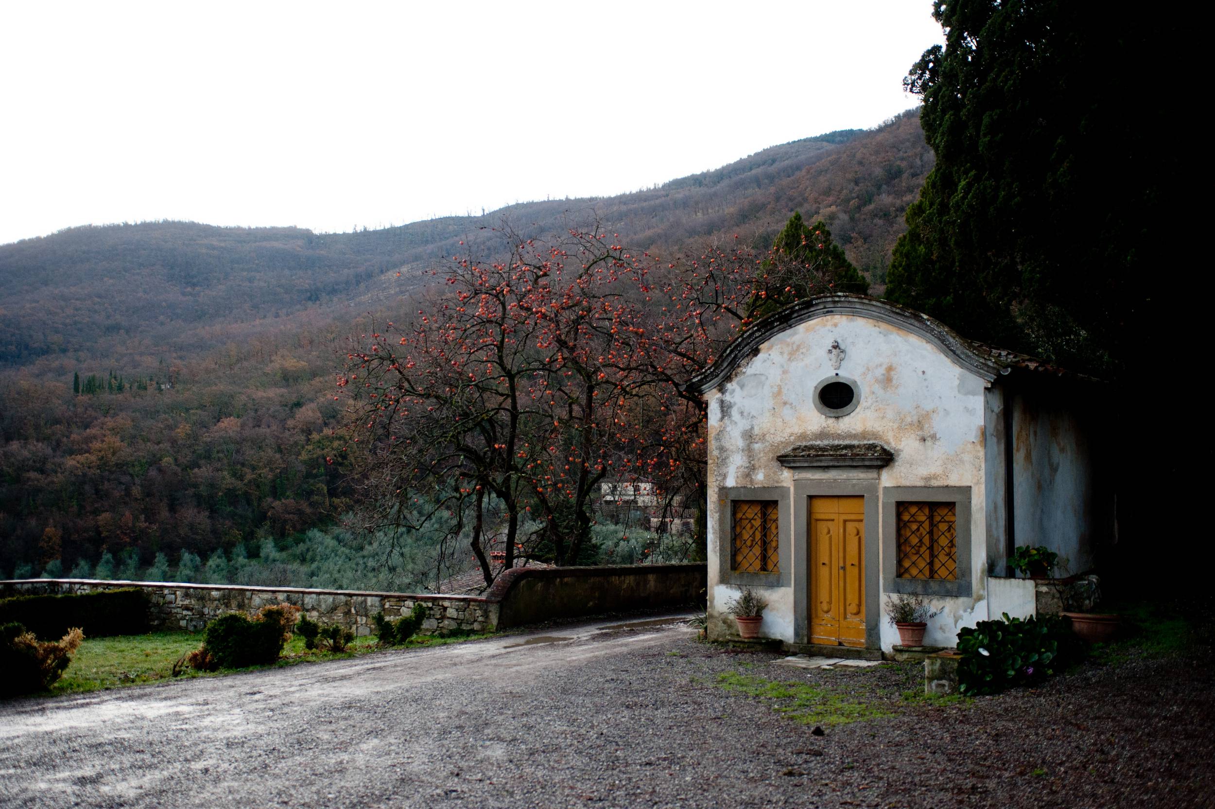 Esperienza Olio di Oliva