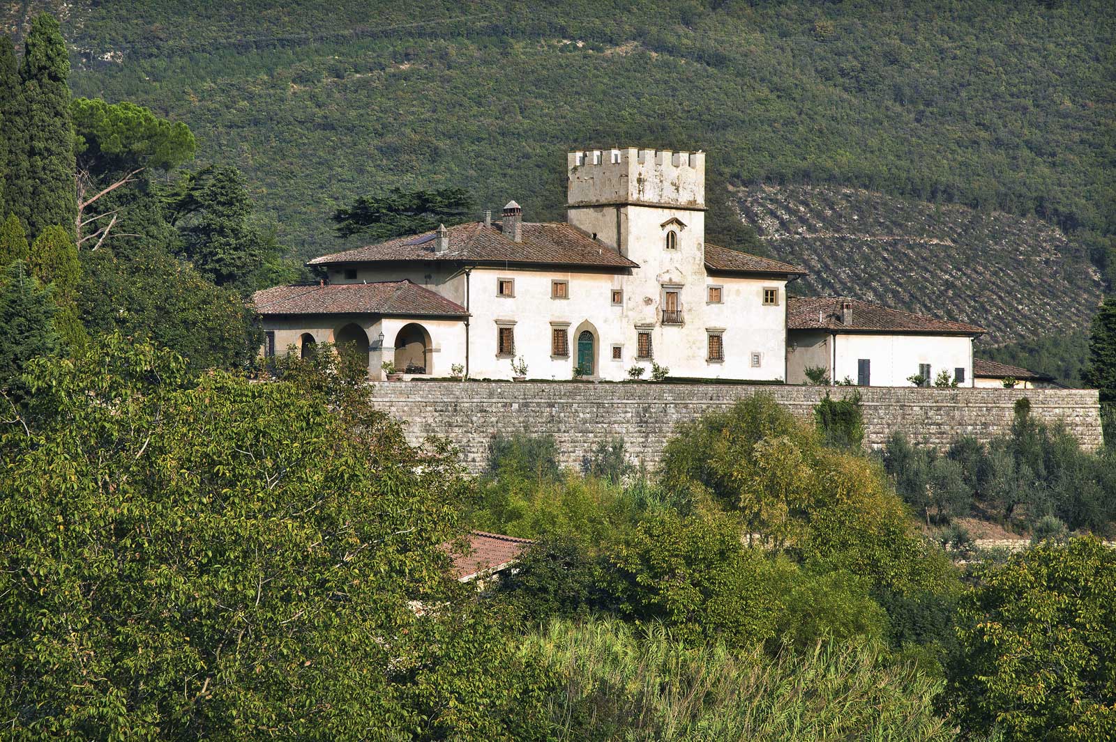 Esperienza Olio di Oliva