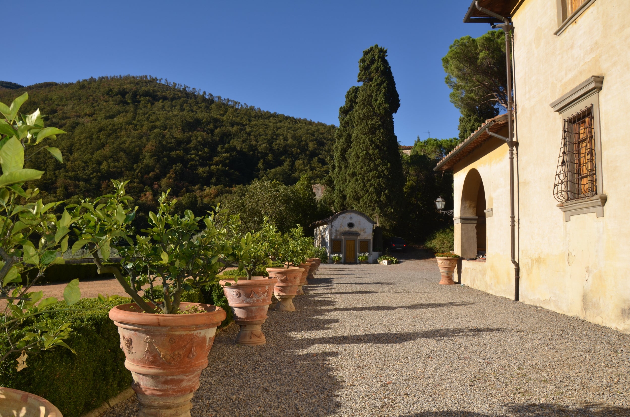 Esperienza Olio di Oliva
