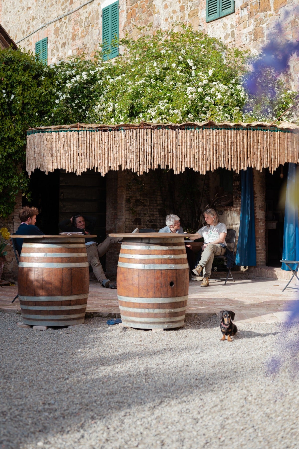 Esperienza a Tavola nel Chianti Classico – spazio esterno della tenuta