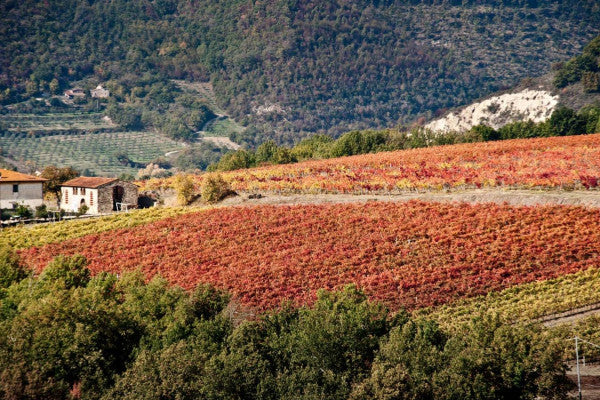 Le cinque sfumature del rosso