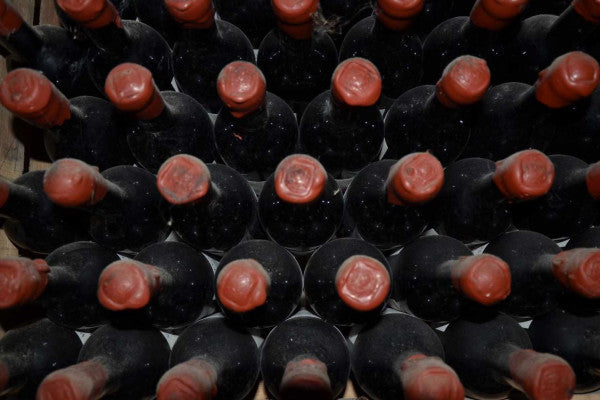Degustazione e Visita in Villa Nobile