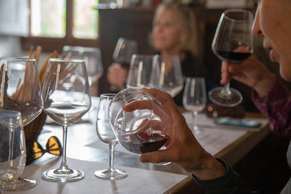 Degustazione e Visita in Villa Nobile