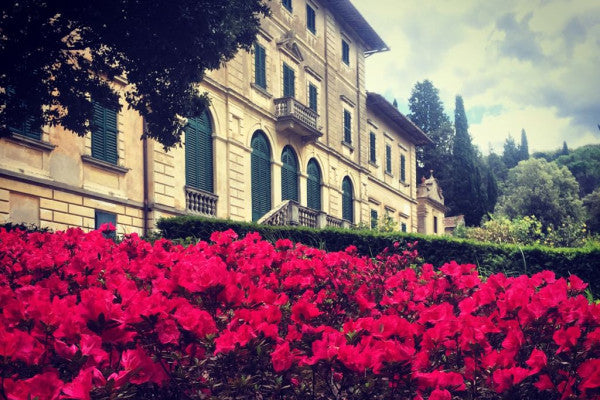 Degustazione e Visita in Villa Nobile