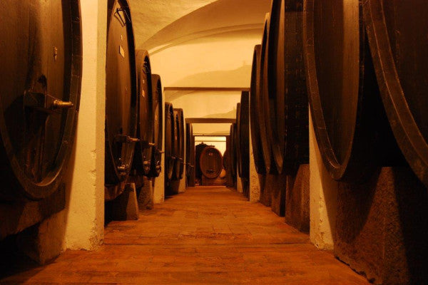 Degustazione e Visita in Villa Nobile