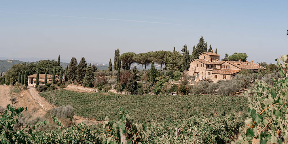 Paesaggio di vigneti del Chianti Classico a Panzano