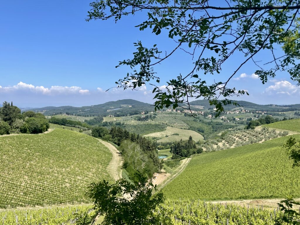 Dopo i Supertuscan: eleganza e territorio nella visione di Ilaria Tachis