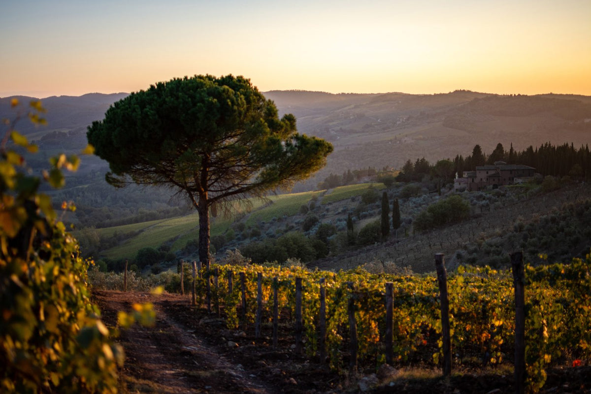 Villa toscana tra le colline del Chianti